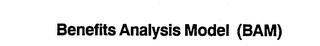 BENEFITS ANALYSIS MODEL (BAM) logo