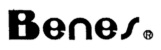 BENES logo