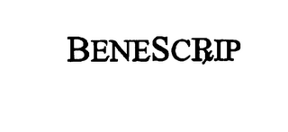 BENESCRIP logo