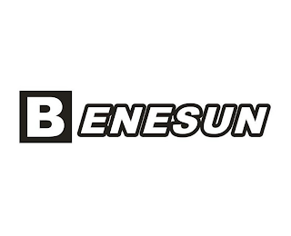 BENESUN logo