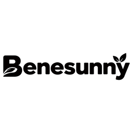 BENESUNNY logo