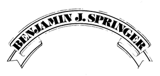 BENJAMIN J. SPRINGER logo
