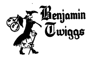 BENJAMIN TWIGGS logo