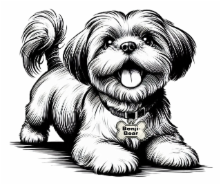 BENJI-BEAR logo