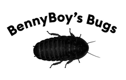 BENNYBOY'S BUGS logo