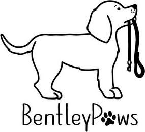 BENTLEYPAWS logo