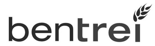 BENTREI logo