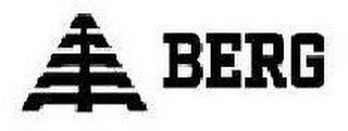 BERG logo
