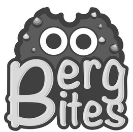 BERG BITES logo