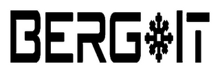 BERG IT logo