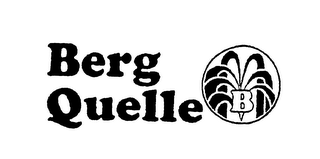 BERG QUELLE B logo