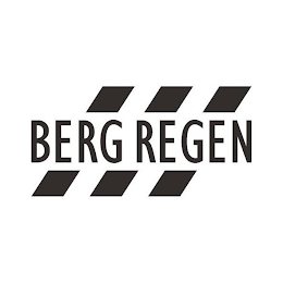BERG REGEN logo
