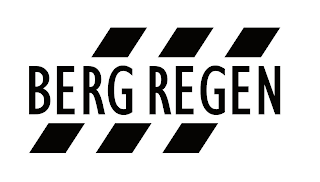 BERG REGEN logo