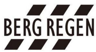BERG REGEN logo