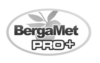 BERGAMET PRO + logo