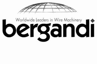BERGANDI WORLDWIDE LEADERS IN WIRE MACHINERY logo