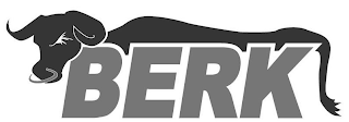 BERK logo