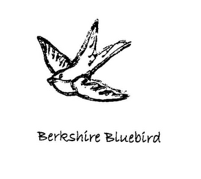 BERKSHIRE BLUEBIRD logo