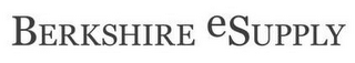 BERKSHIRE ESUPPLY logo