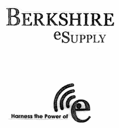 BERKSHIRE ESUPPLY HARNESS THE POWER OF E logo