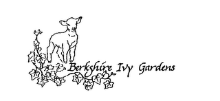 BERKSHIRE IVY GARDENS logo