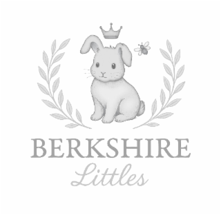 BERKSHIRE LITTLES logo
