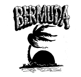 BERMUDA logo
