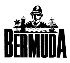 BERMUDA logo