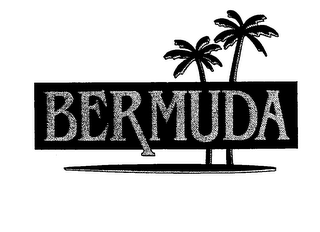 BERMUDA logo