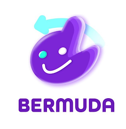 BERMUDA logo