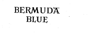 BERMUDA BLUE logo