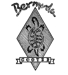 BERMUDA COOTER logo
