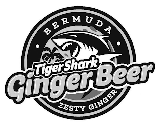 BERMUDA TIGERSHARK GINGER BEER ZESTY GINGER logo