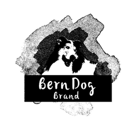 BERN DOG BRAND logo