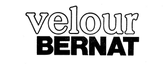 BERNAT VELOUR logo