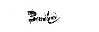 BERNELE logo