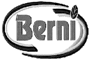 BERNI logo