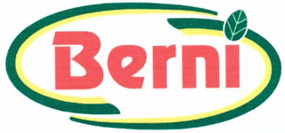 BERNI logo