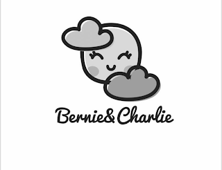 BERNIE&CHARLIE logo