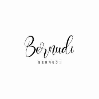 BERNUDI BERNUDI logo