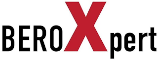 BEROXPERT logo