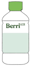 BERRI LYTE logo