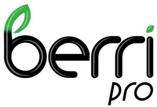 BERRI PRO logo