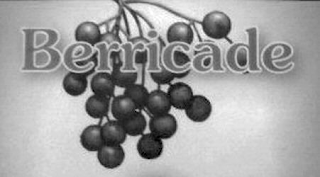 BERRICADE logo