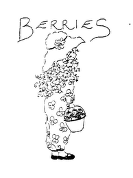 BERRIES logo