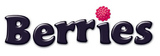 BERRIES logo