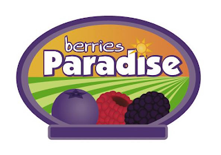 BERRIES PARADISE logo