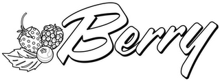 BERRY logo