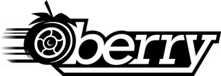 BERRY logo