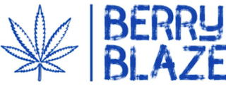 BERRY BLAZE logo